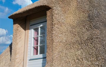Selworthy thatch roof disadvantages